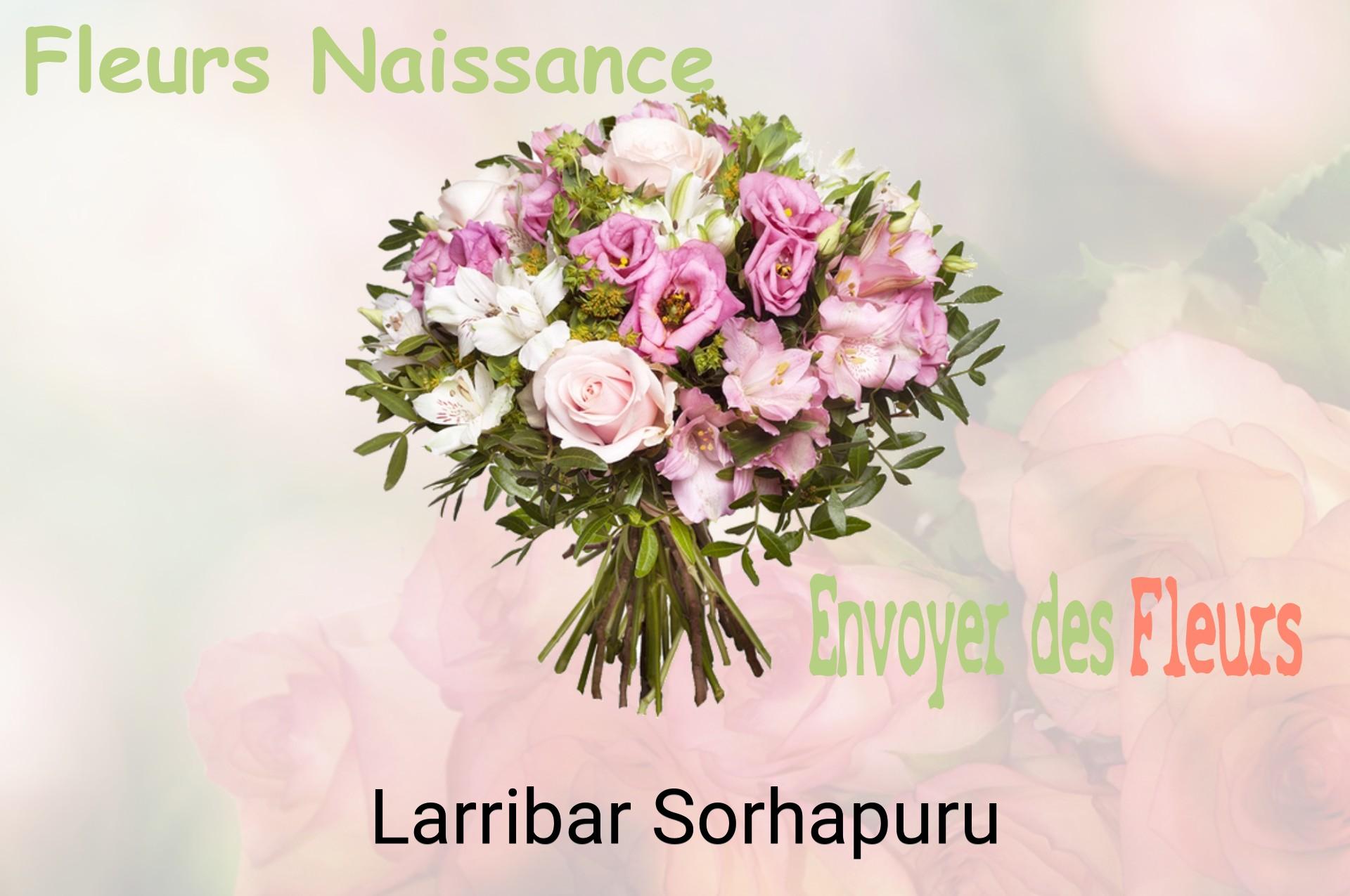 Bouquet de fleurs de naissance livré à Larribar-Sorhapuru